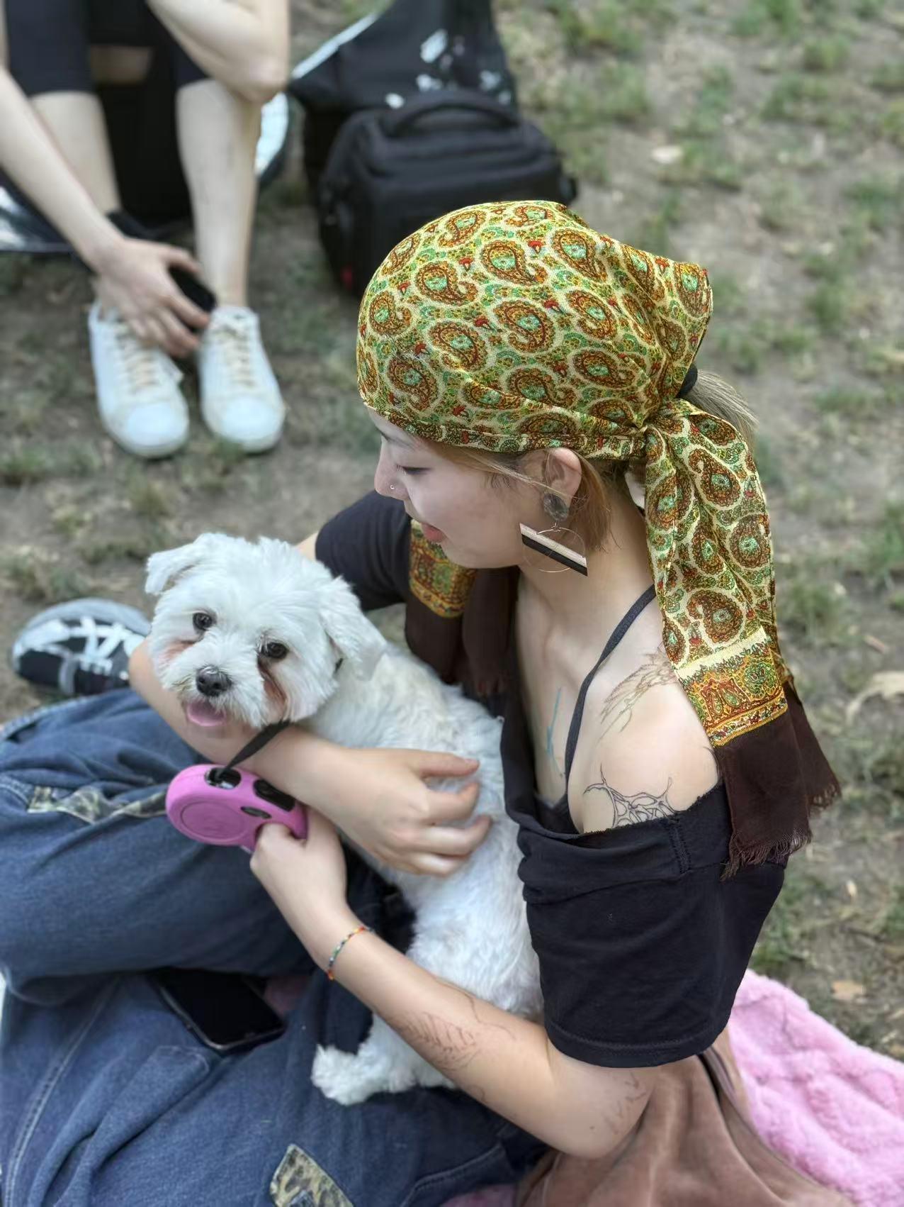 Enlarge Momo, a Adoptable Maltese in Pasadena, CA image 3/3