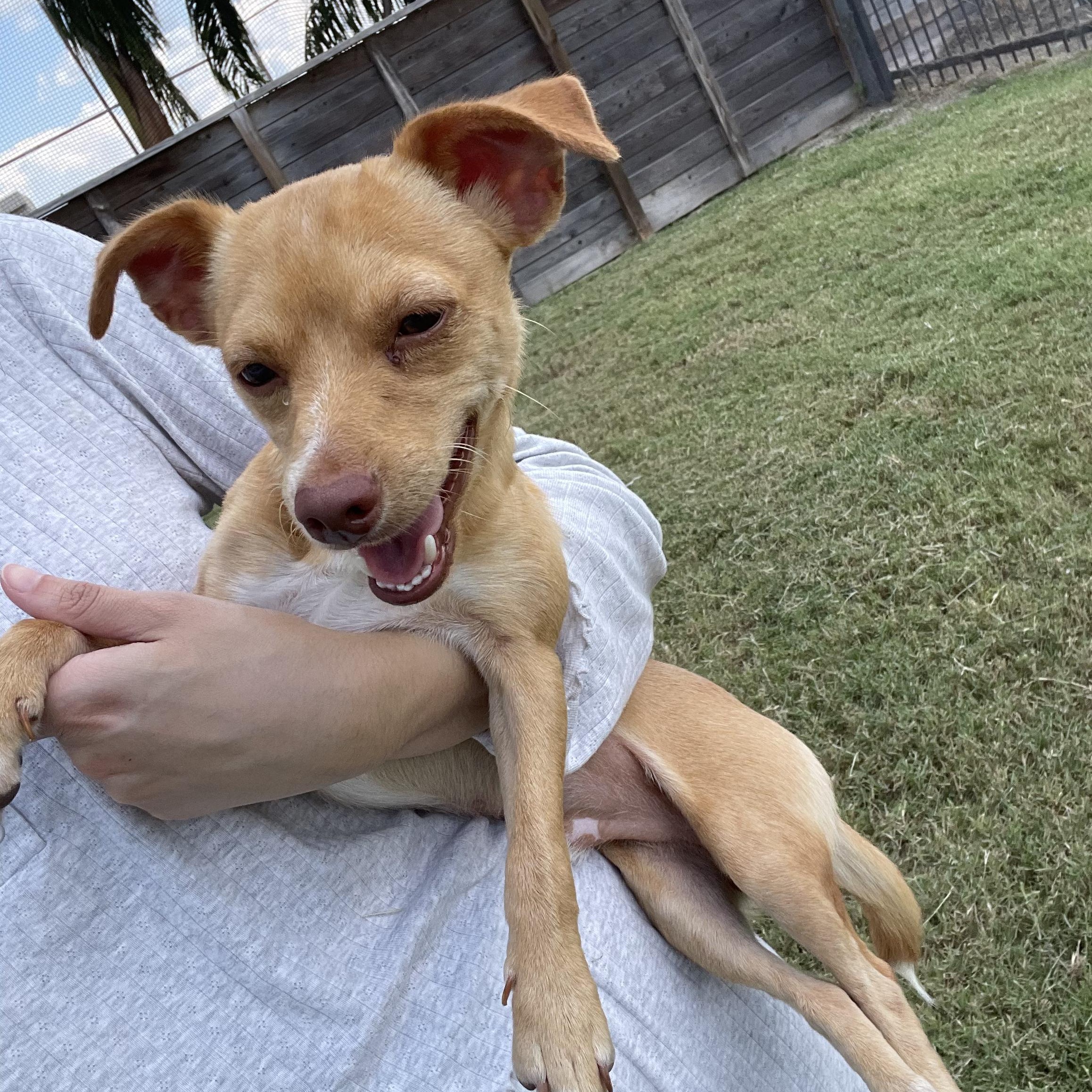 Coco