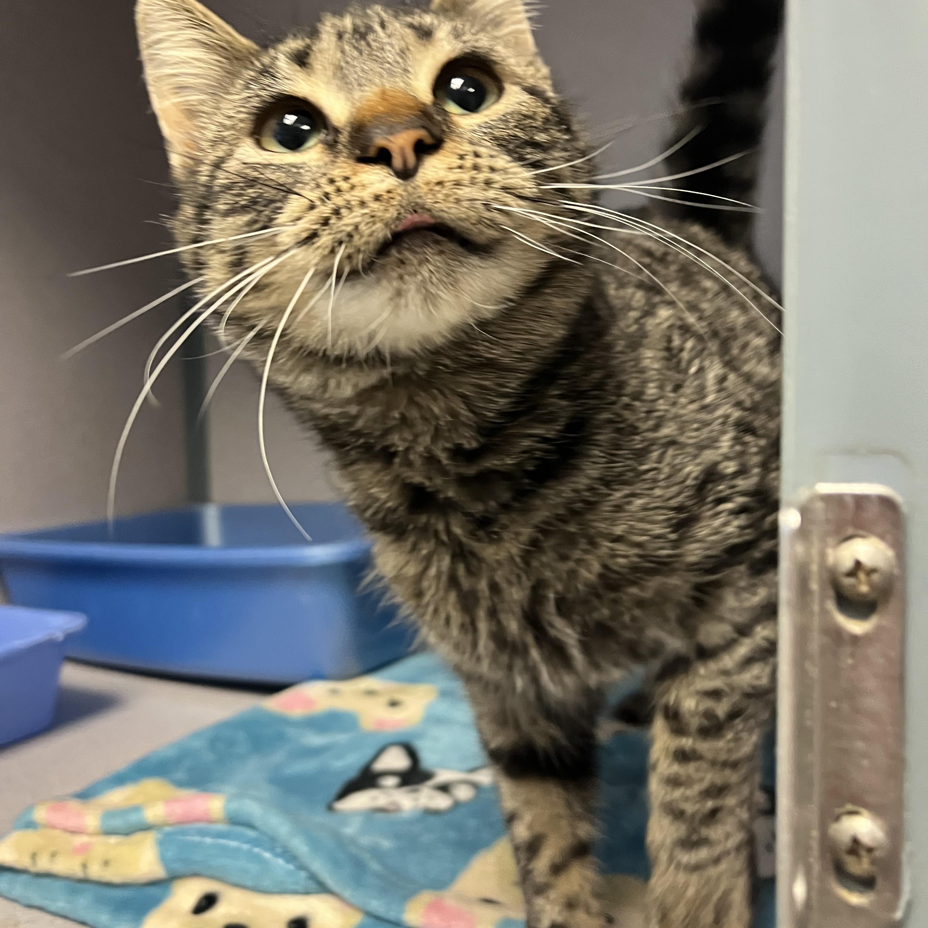 Gabby — thumbnail 2