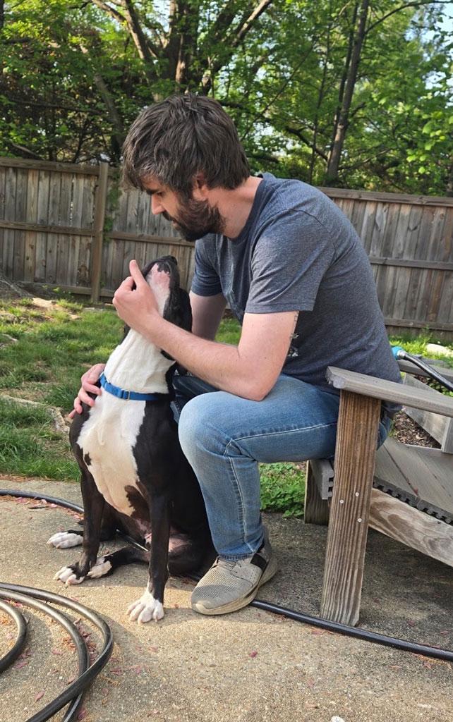 Enlarge Oreo, a ADOPTABLE mixed breed in Bowie, MD image 3/5