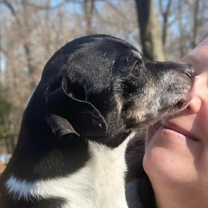 Junior (20260201-09) — thumbnail 5