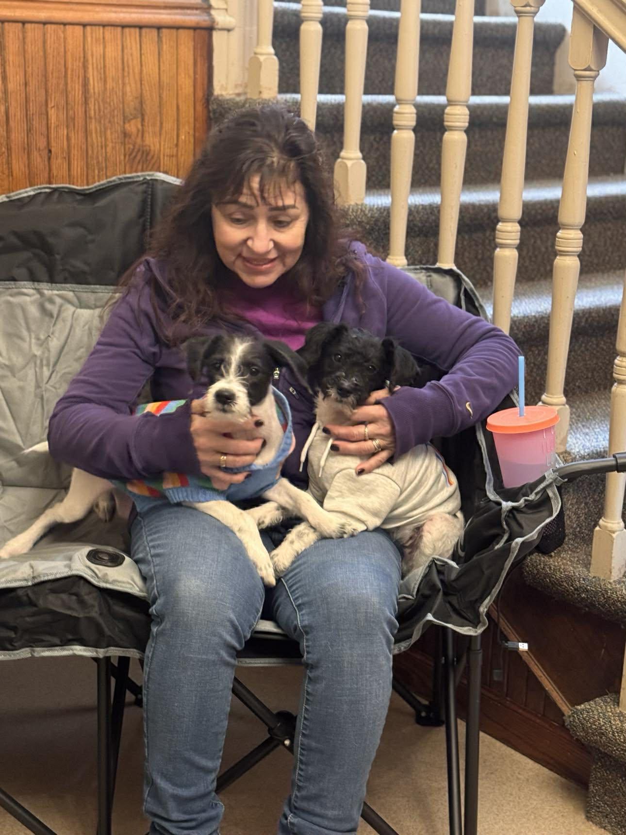 Enlarge True, a Adoptable Mixed Breed in Kenosha, WI image 4/6