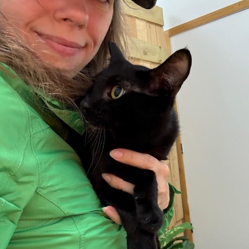 Jack Simpson — thumbnail 2