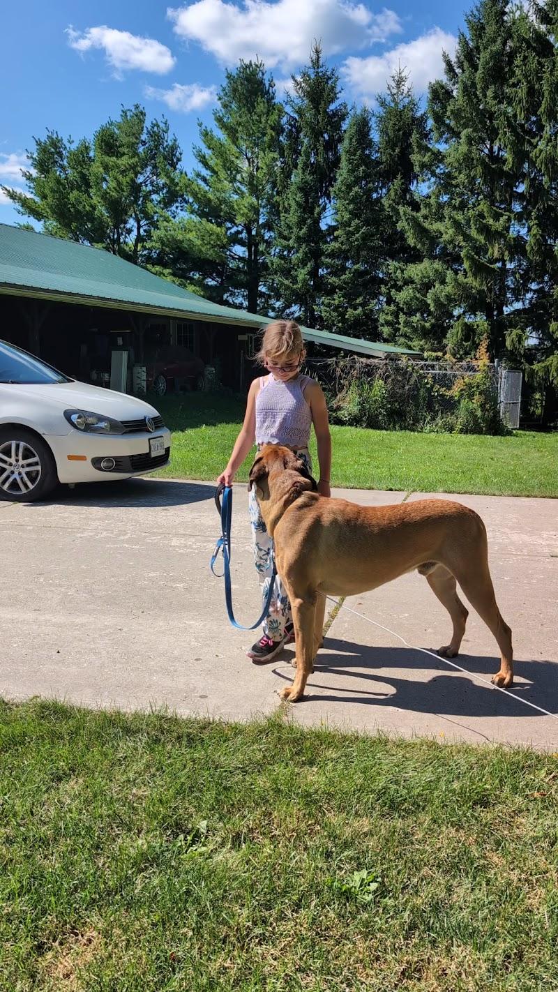 Enlarge Griffin, a Adoptable mixed breed in New Hamburg, ON image 6/6