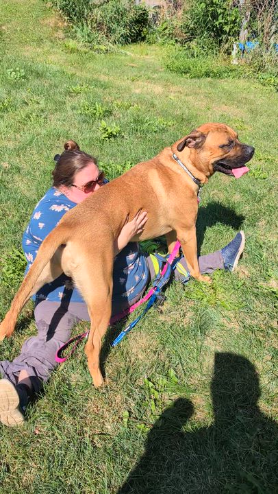 Enlarge Griffin, a Adoptable mixed breed in New Hamburg, ON video 2/6