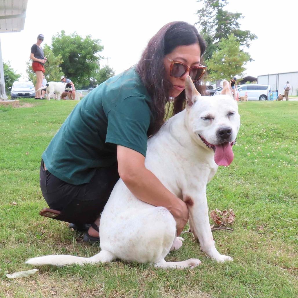 Enlarge Brodie, a Adoptable mixed breed in Wadena, MN image 4/6