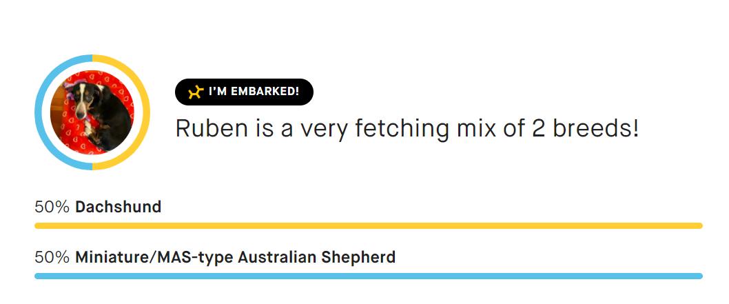 Enlarge Ruben, a Adopted mixed breed in Sandy, UT image 4/6