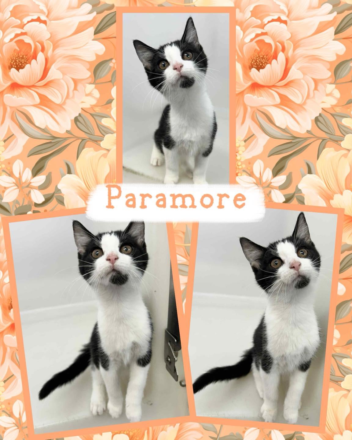 Paramore