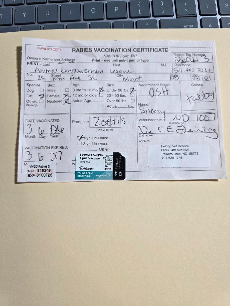 Enlarge Sneezy, a Adoptable mixed breed in Minot, ND image 1/2