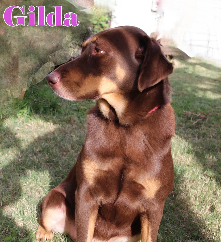 GILDA