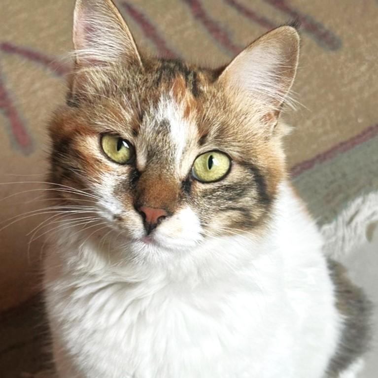 Missa IsaBella photo 4