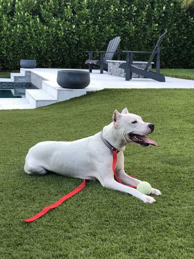 Bella