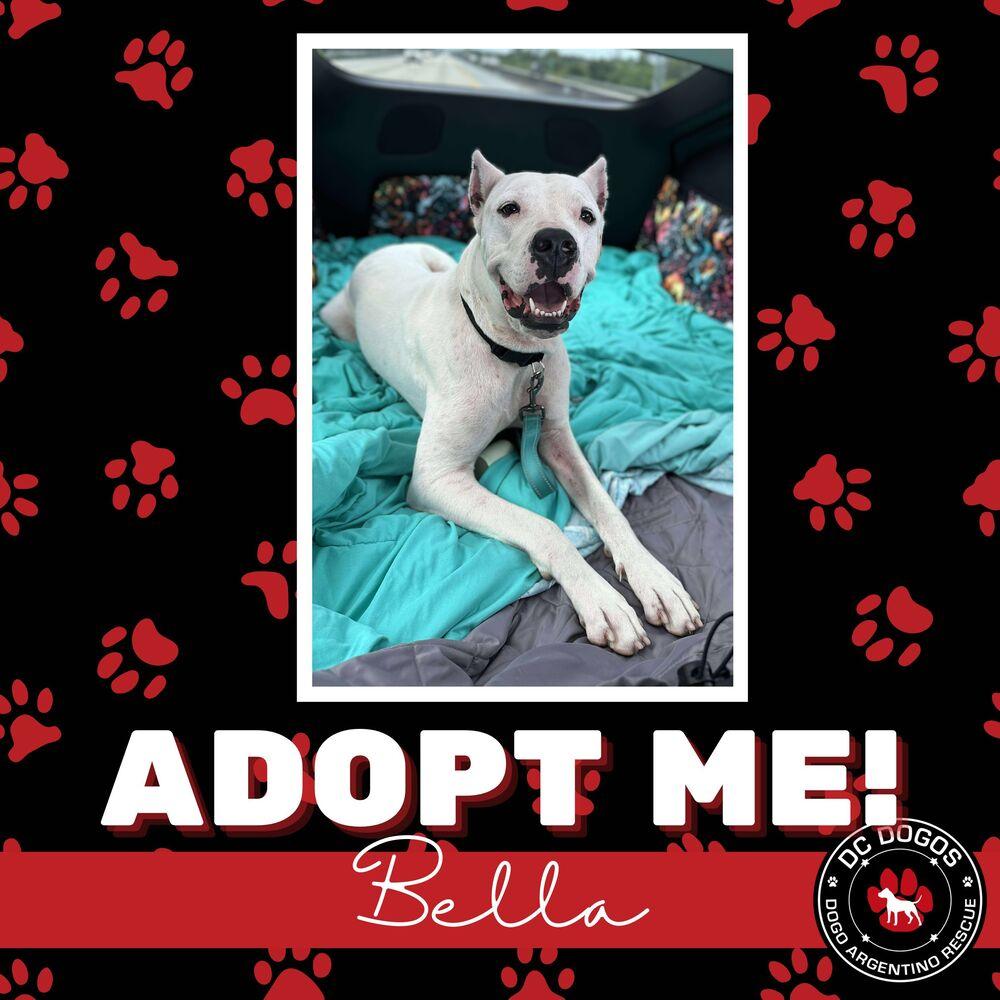 Bella