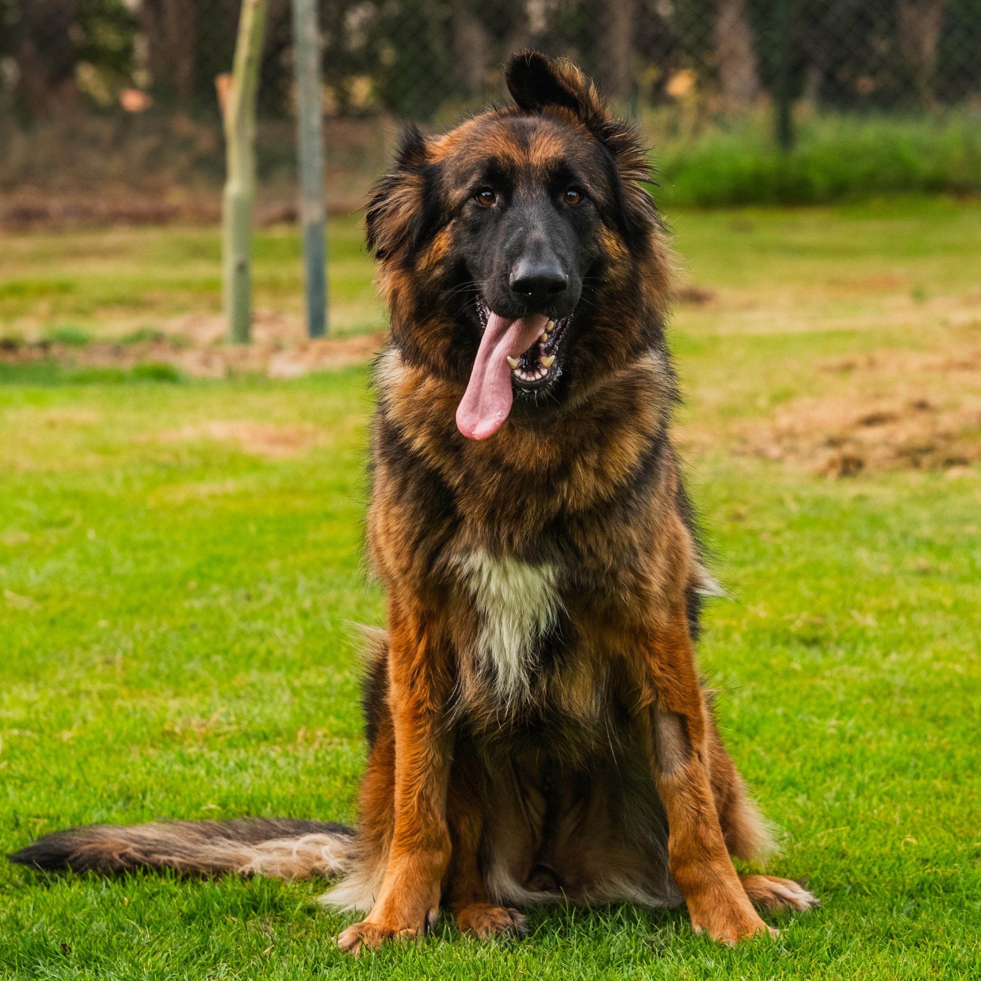 Beautiful Bella from Kuwait