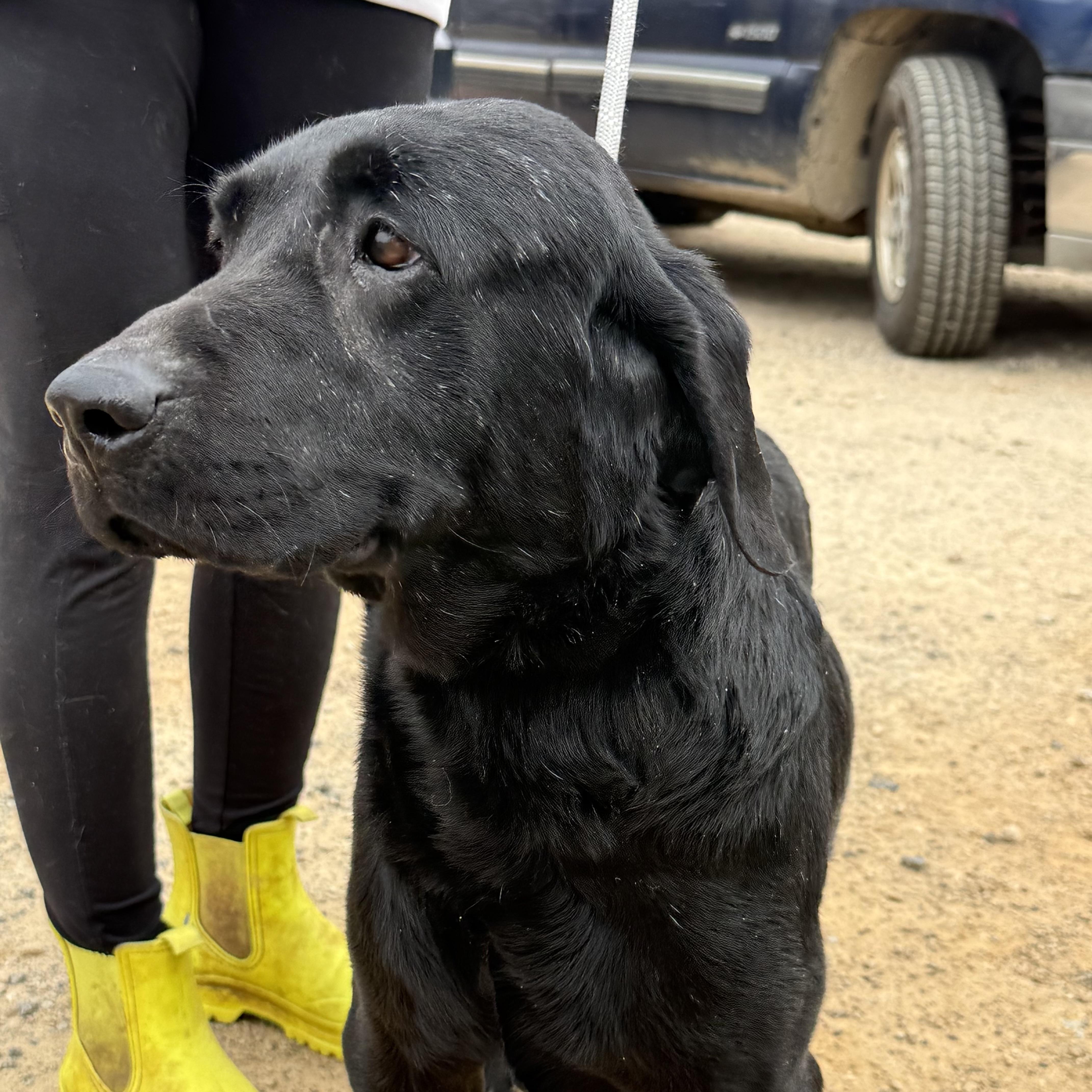 Costa — thumbnail 3