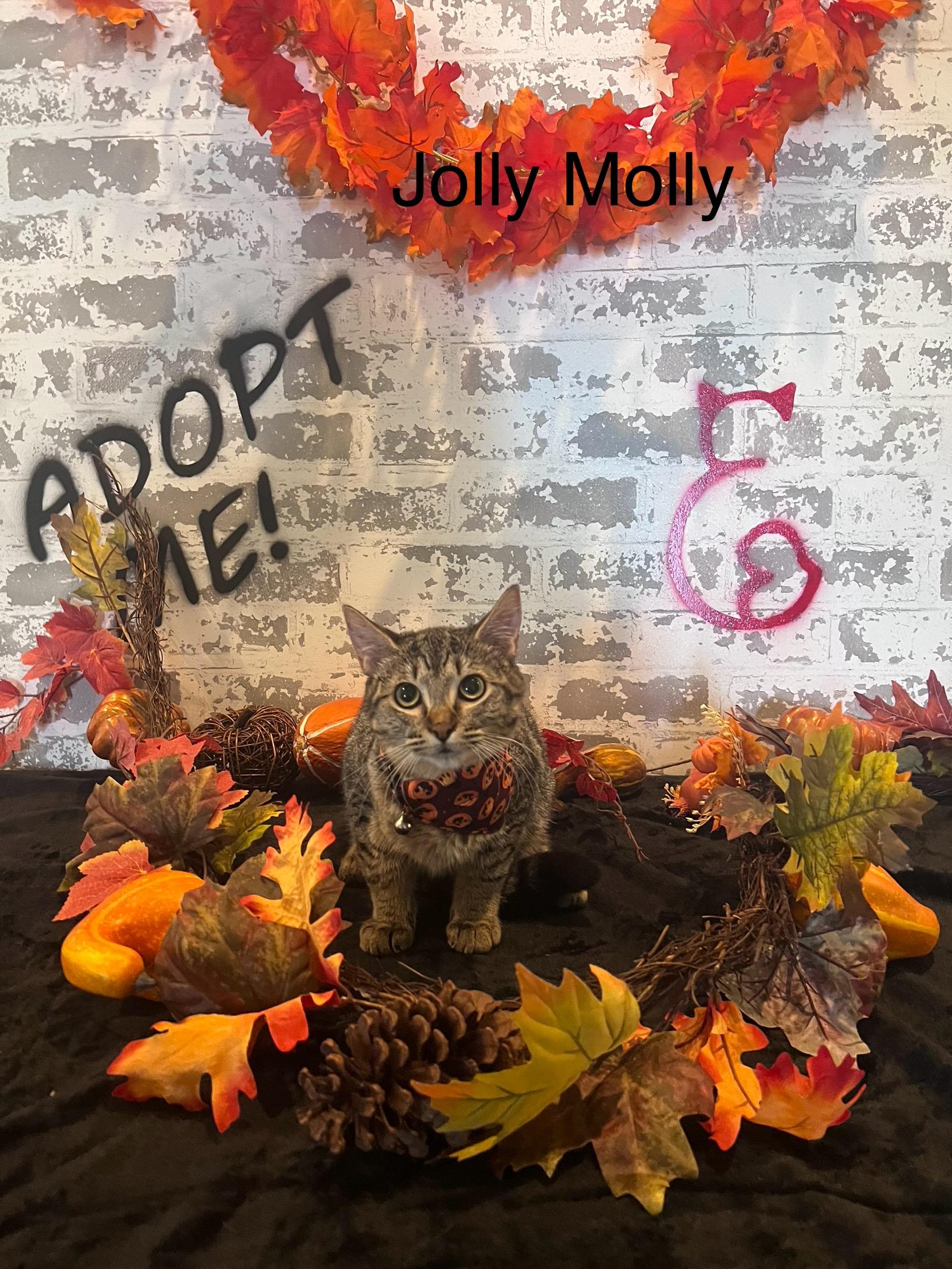 Jolly Molly