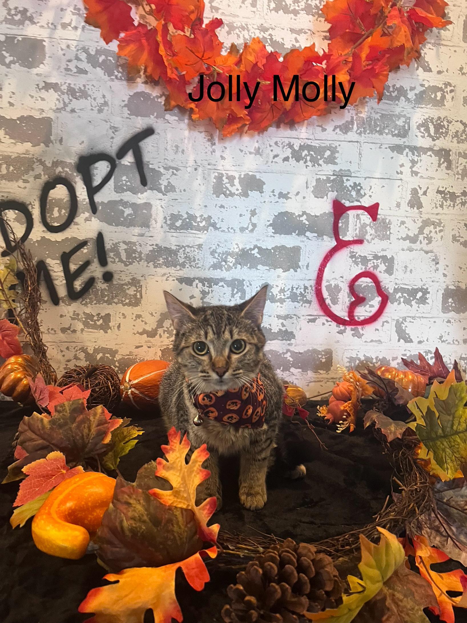 Jolly Molly