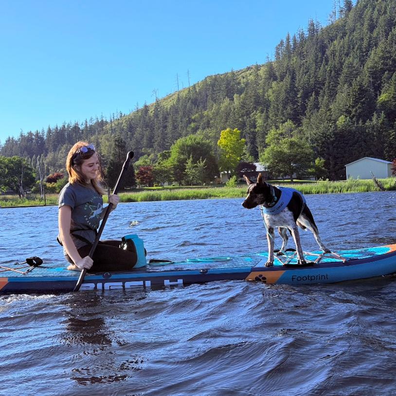 Enlarge Ember, a Adoptable mixed breed in Bellingham, WA image 5/6