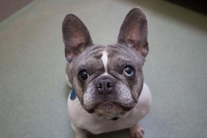 Sparkles thumbnail 3