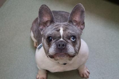 Sparkles thumbnail 4