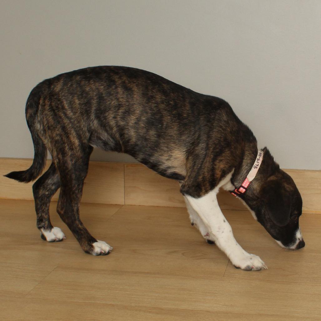 Laverne D thumbnail 2