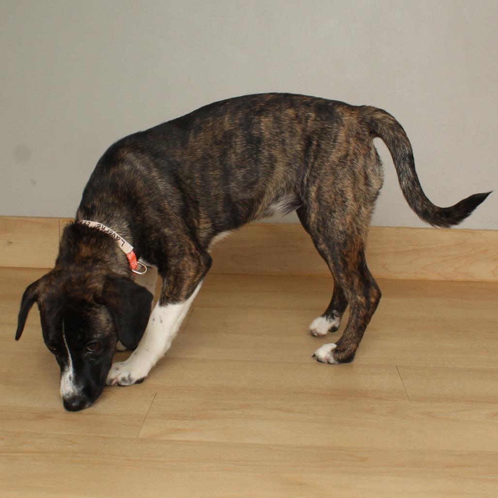 Laverne D thumbnail 3