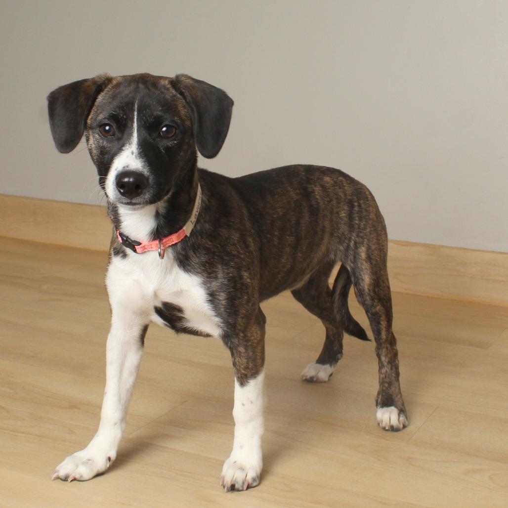 Laverne D thumbnail 4