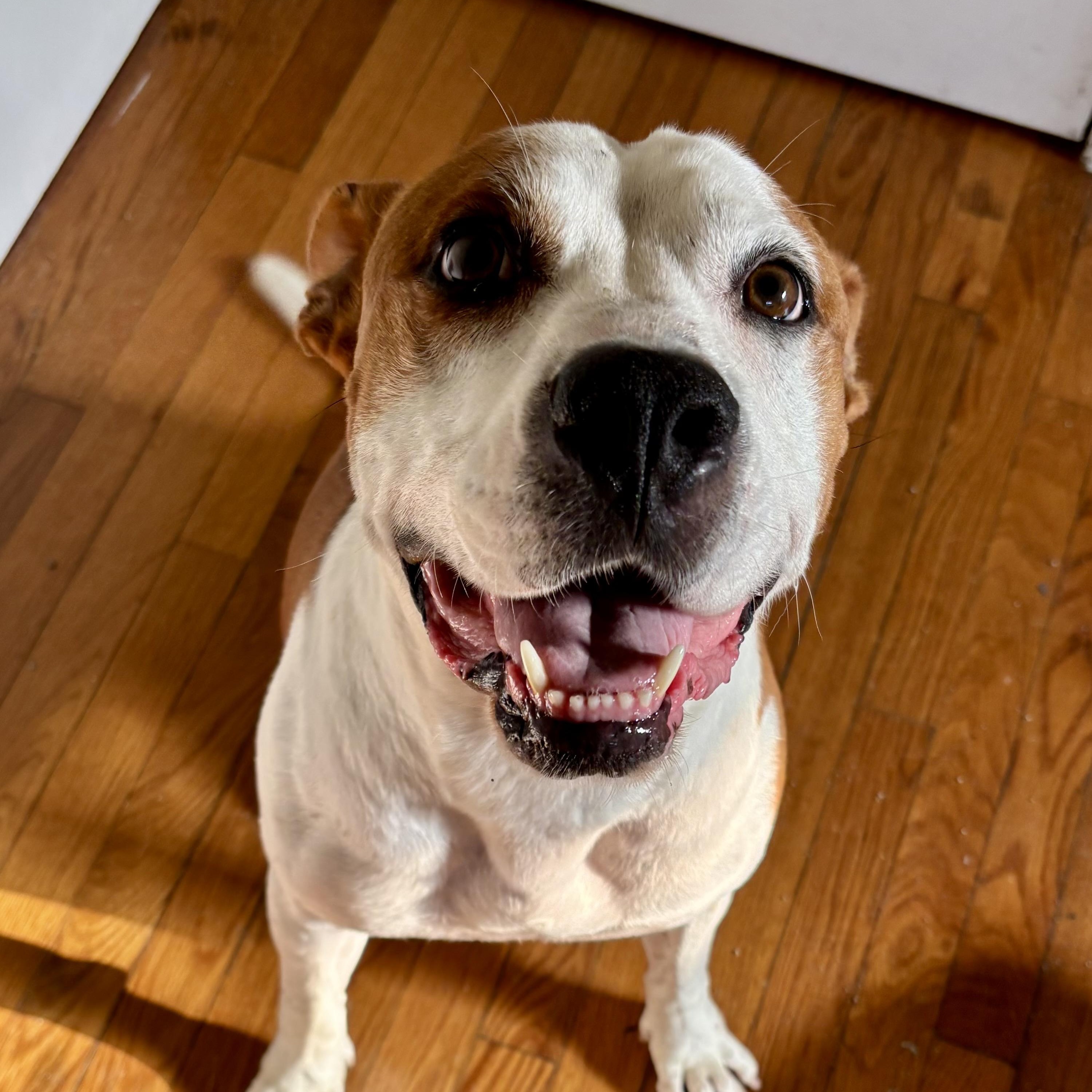 Twix — thumbnail 2