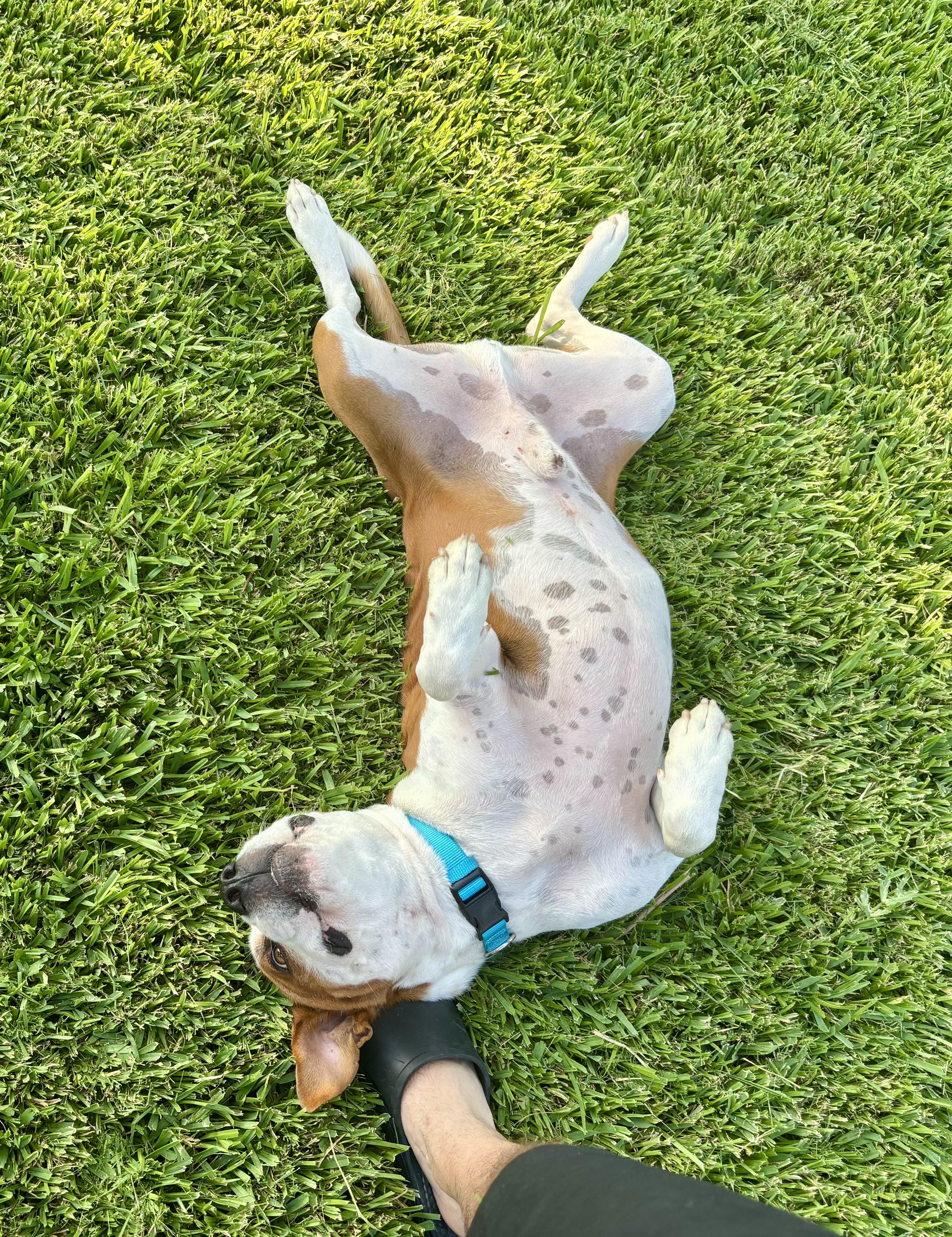 Twix — thumbnail 3