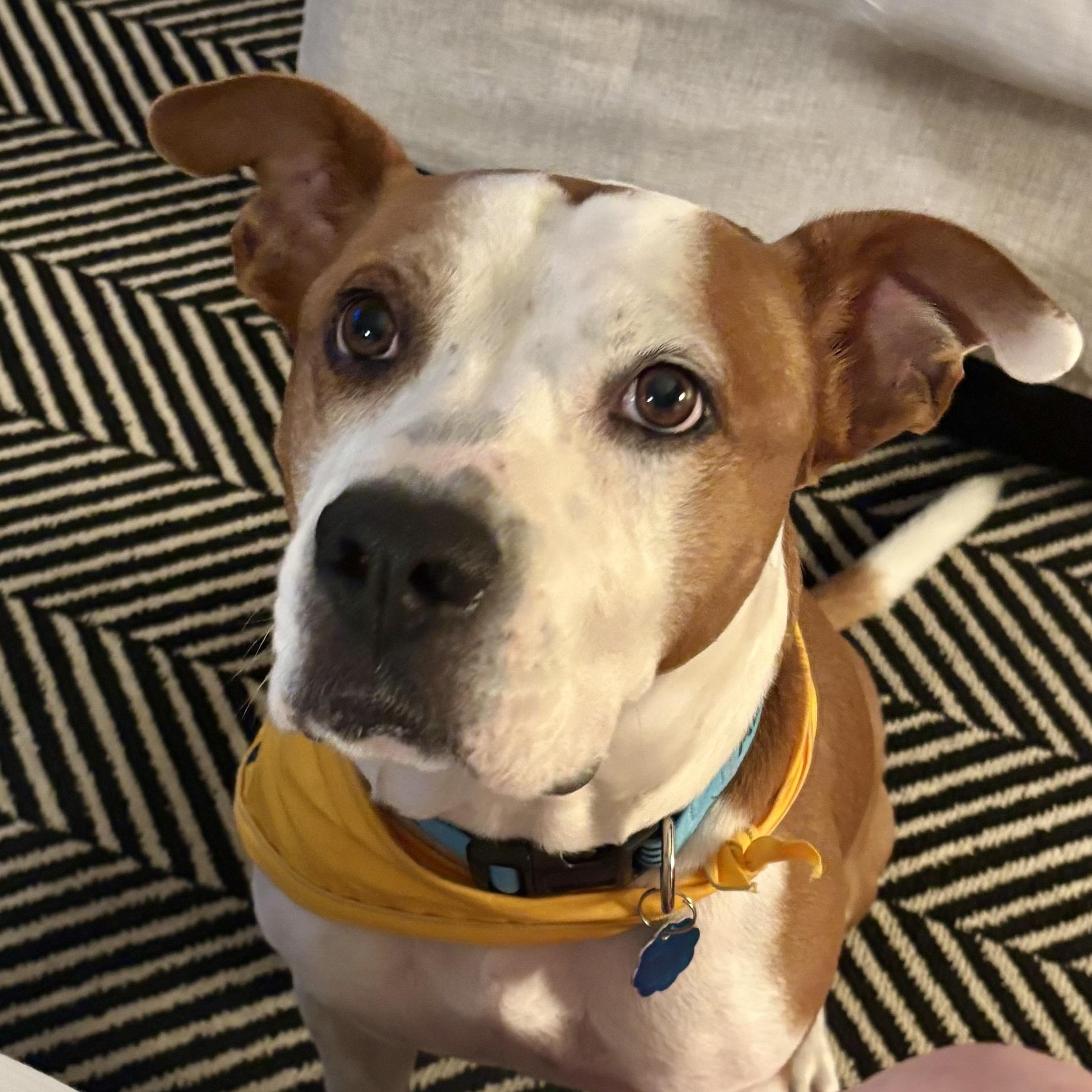 Twix — thumbnail 4