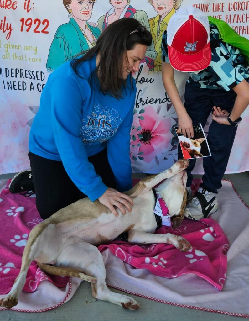 Enlarge Kenzie, a Adoptable mixed breed in Hartsville, SC image 2/6