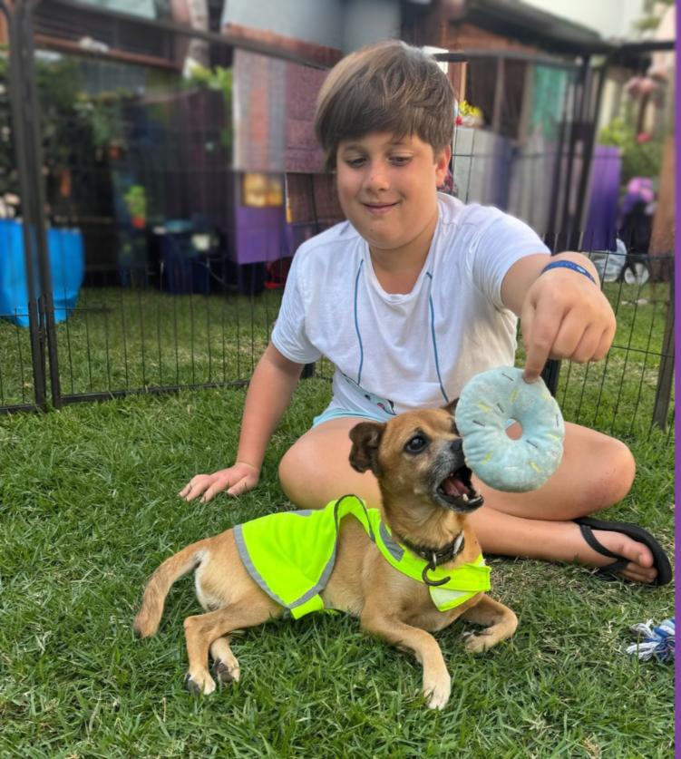 Chavo — thumbnail 3