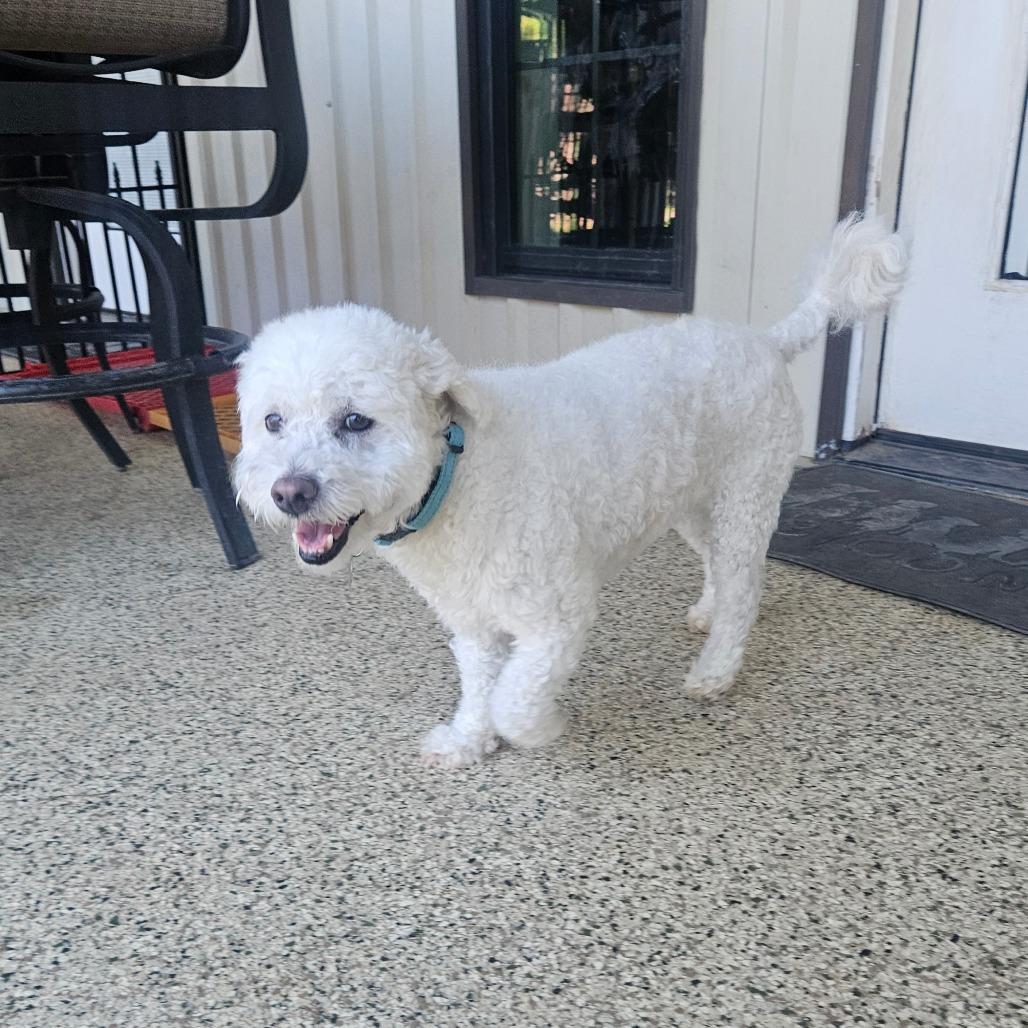 Cearcy Kye (Charlie) — thumbnail 5