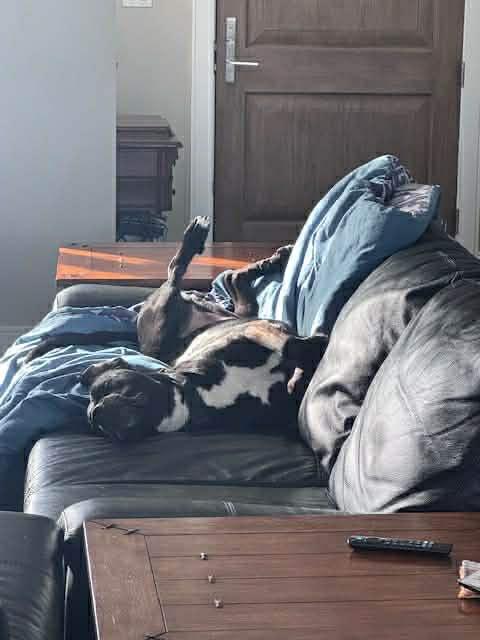 Ren (20260210-01) — thumbnail 2