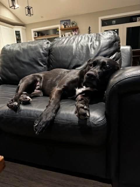 Ren (20260210-01) — thumbnail 3