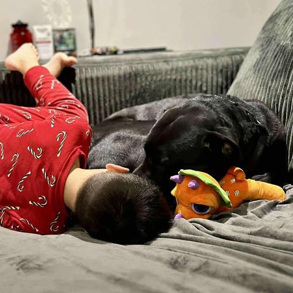 Ren (20260210-01) — thumbnail 4