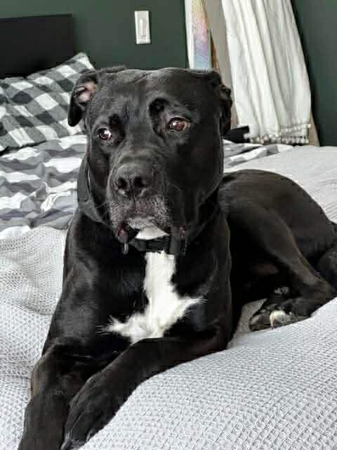 Ren (20260210-01) — thumbnail 5