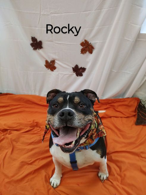 Rocky
