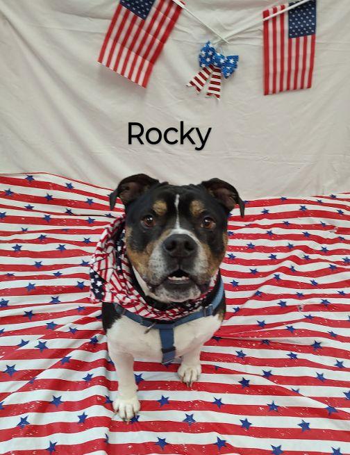 Rocky