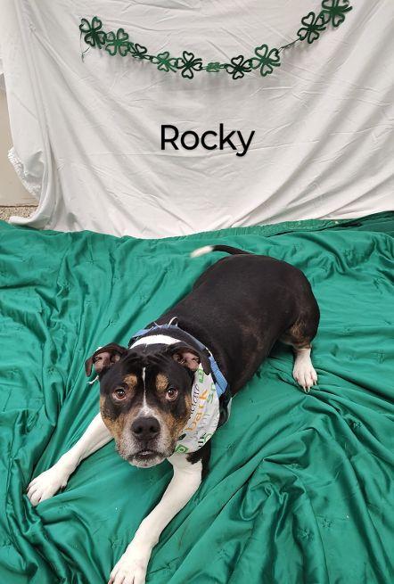 Rocky