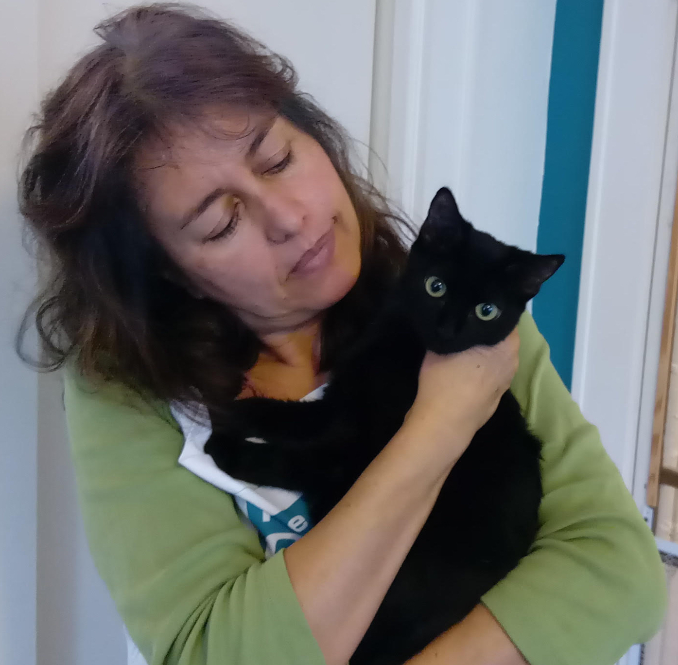 Lucy, a Adoptable Domestic Short Hair in Houston, TX image 5/10