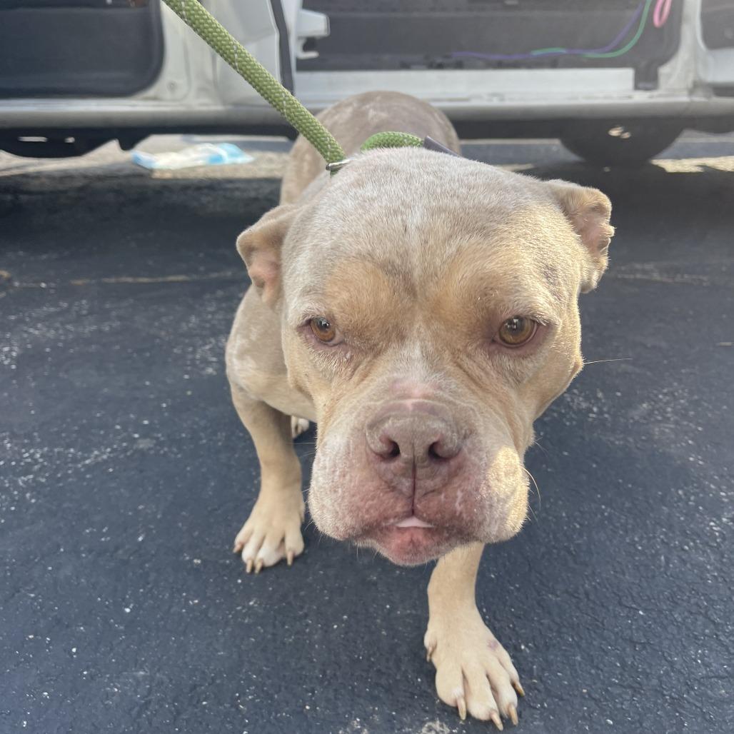 Taylor Swift thumbnail 5