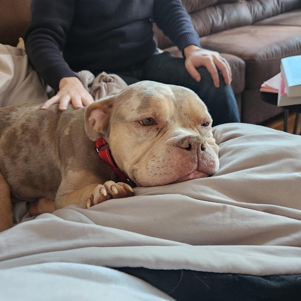 Taylor Swift thumbnail 6