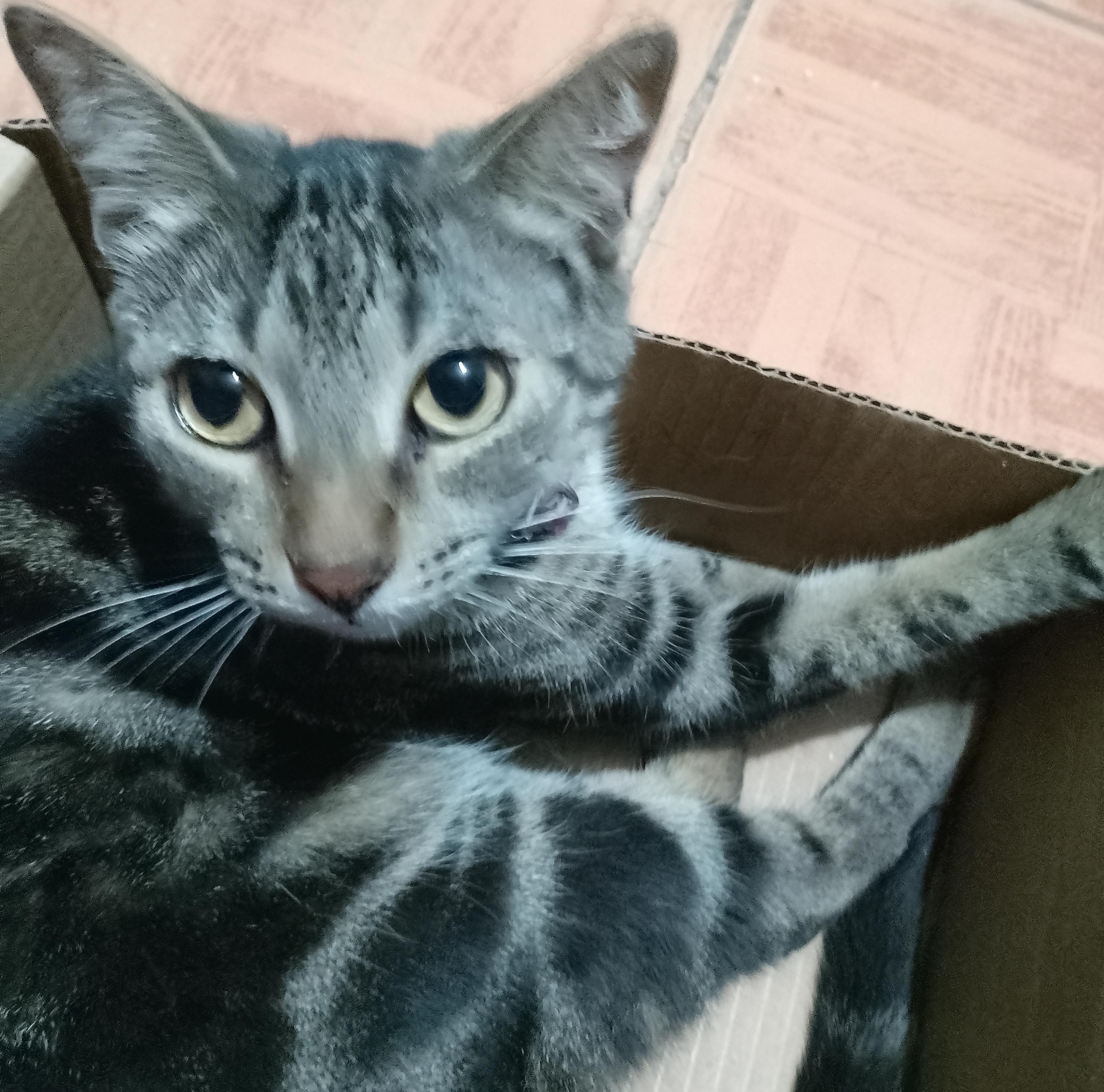 Bayleth — thumbnail 3