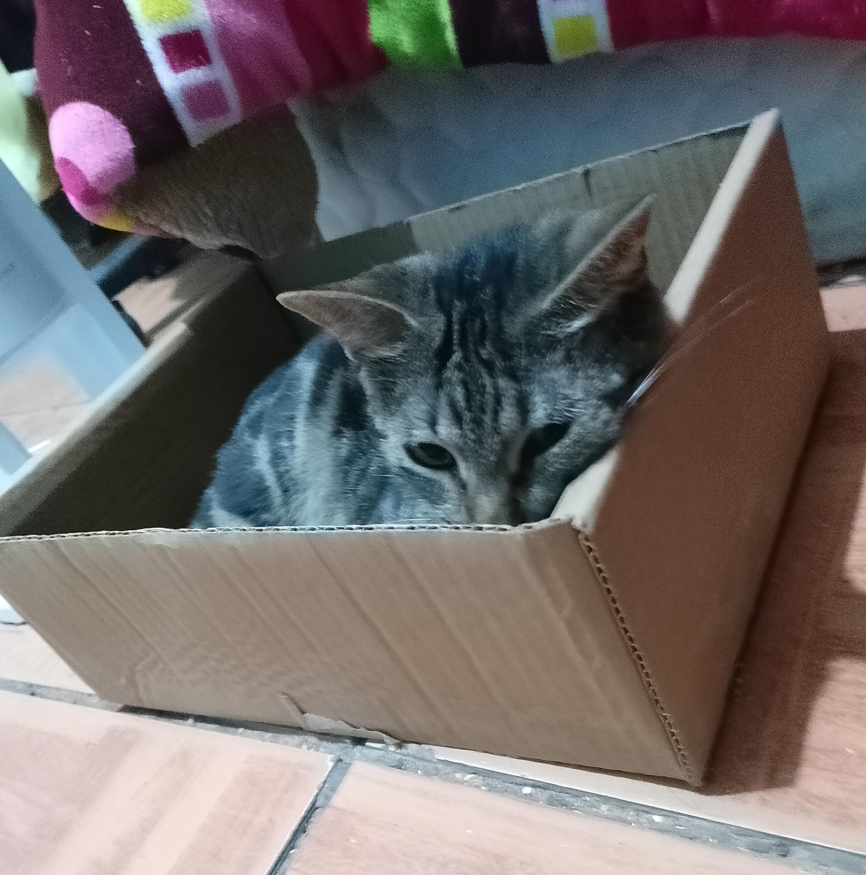 Bayleth — thumbnail 5