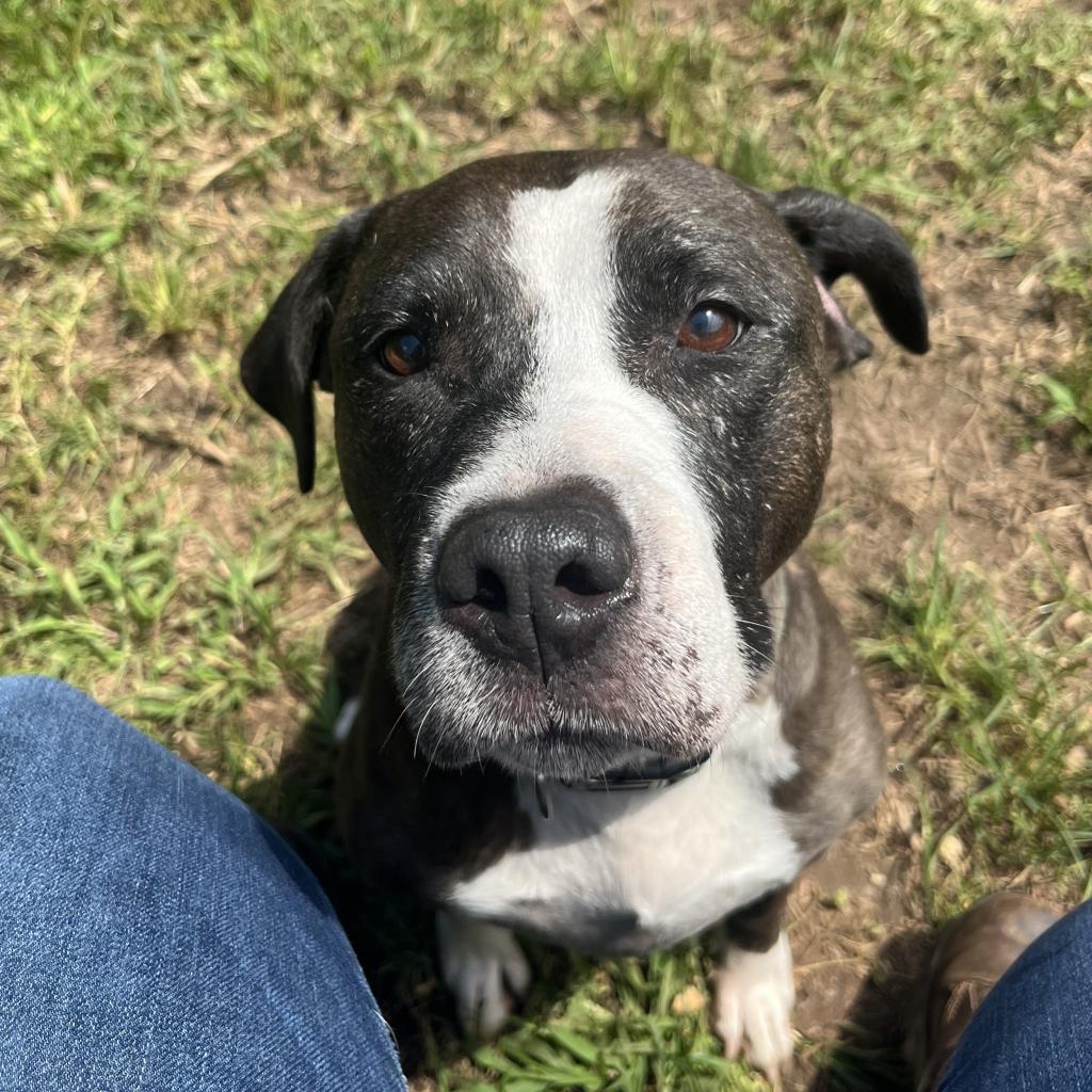 Allikai — thumbnail 2