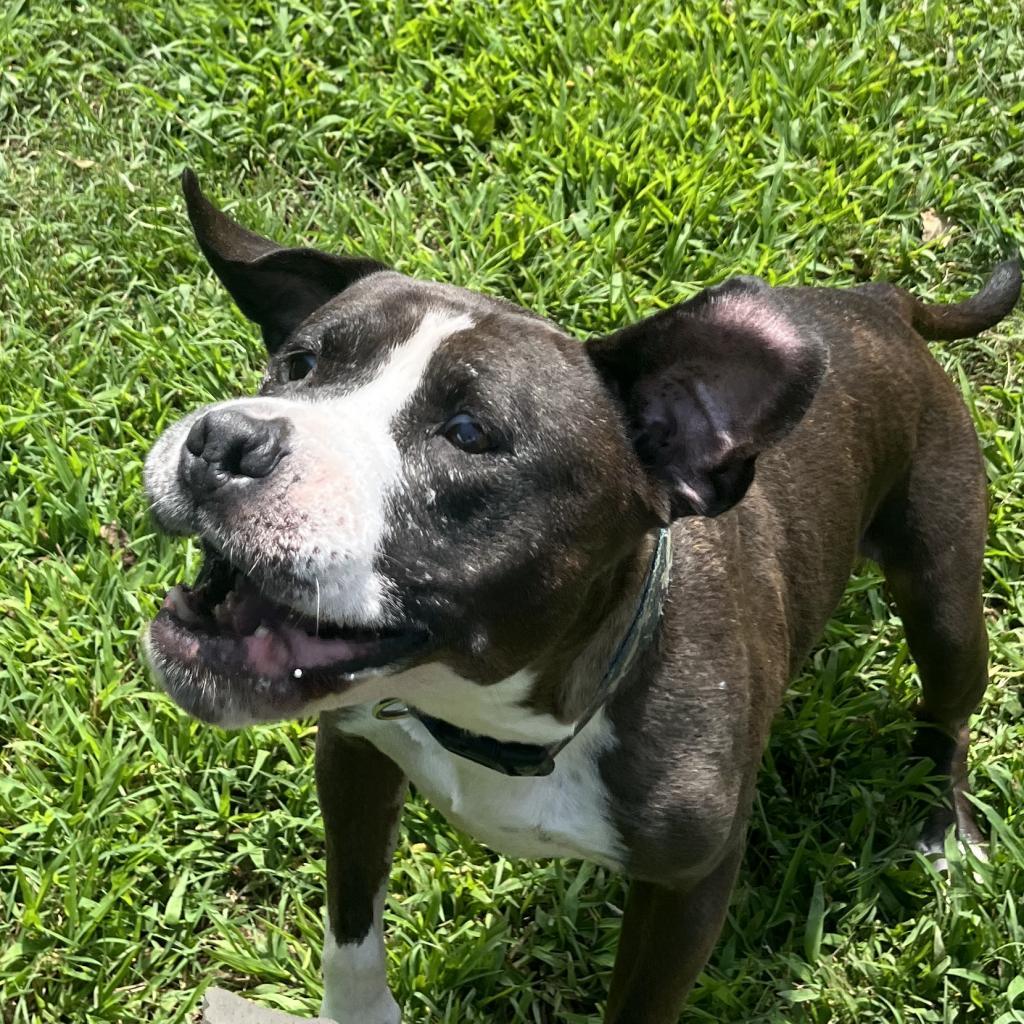 Allikai — thumbnail 3