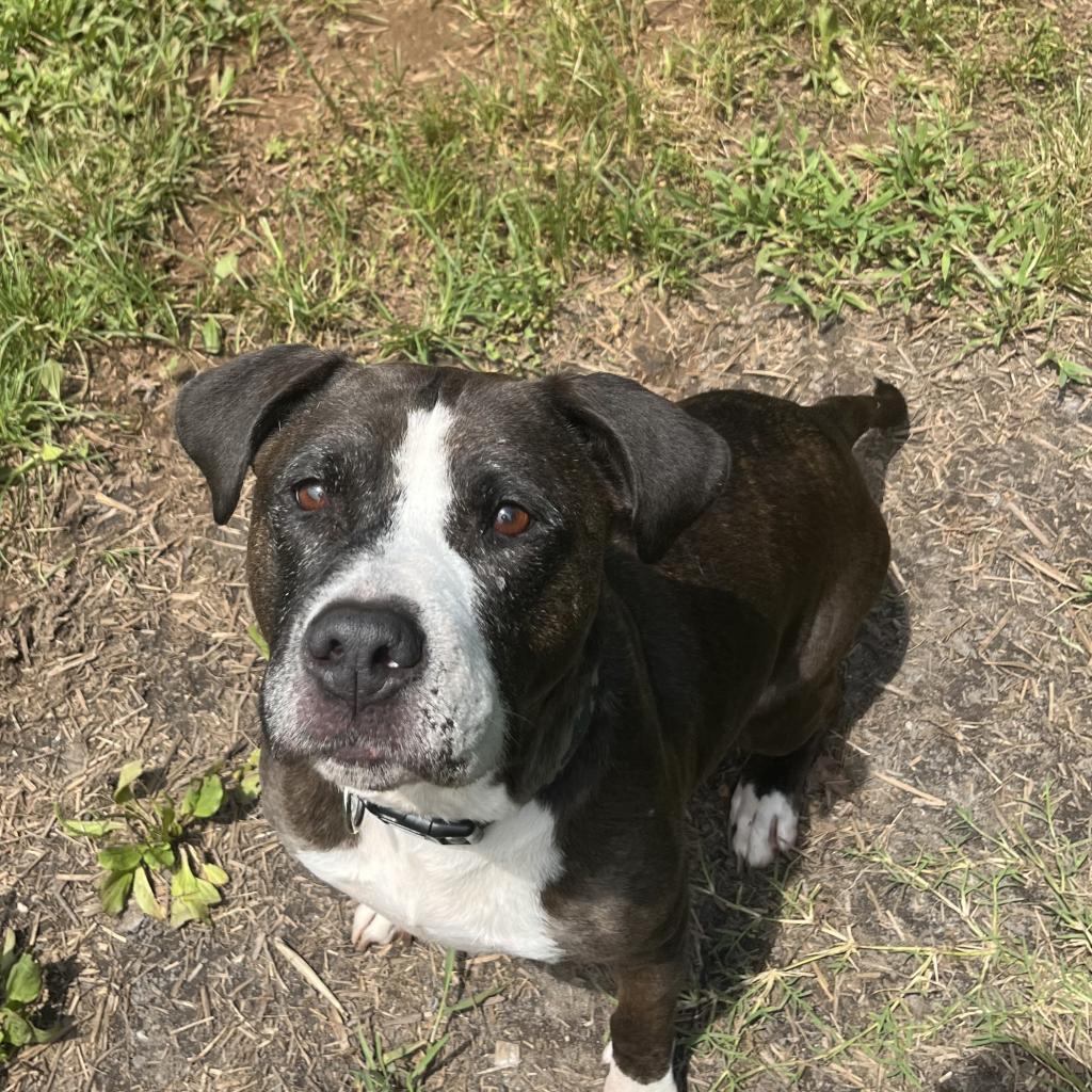 Allikai — thumbnail 4