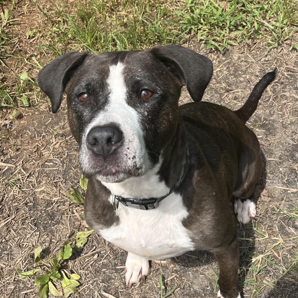 Allikai — thumbnail 5