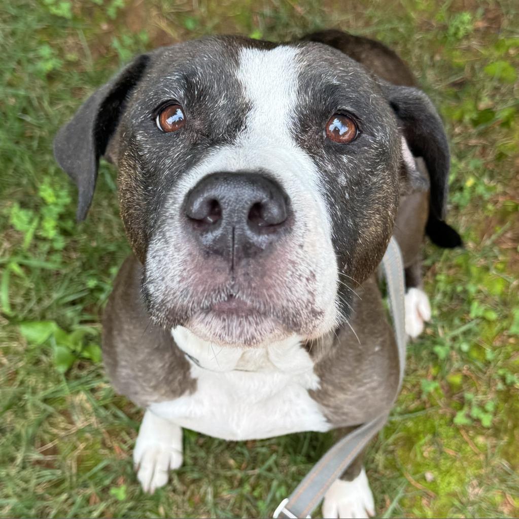 Allikai — thumbnail 6